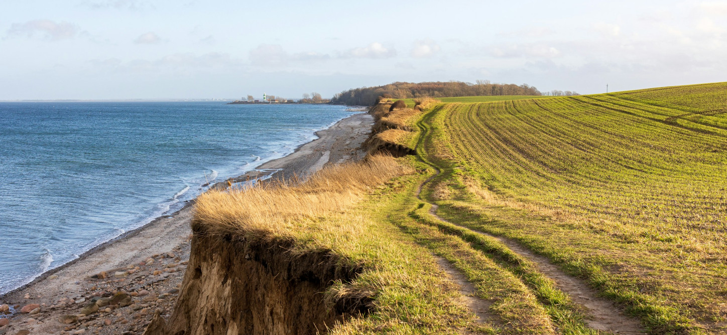 ein unbefestigter Weg, der zu einem Strand am Meer führt